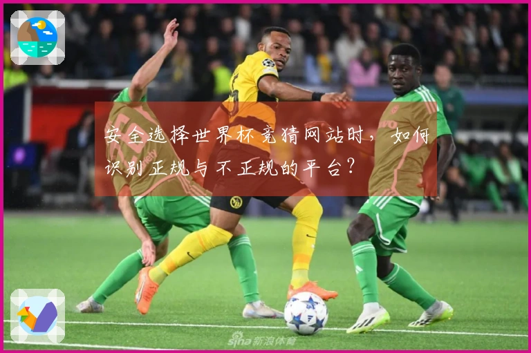安全选择世界杯竞猜网站时，如何识别正规与不正规的平台？
